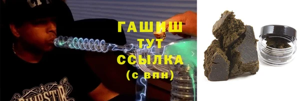 мдпв Гусь-Хрустальный