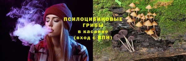 МДМА Гусиноозёрск