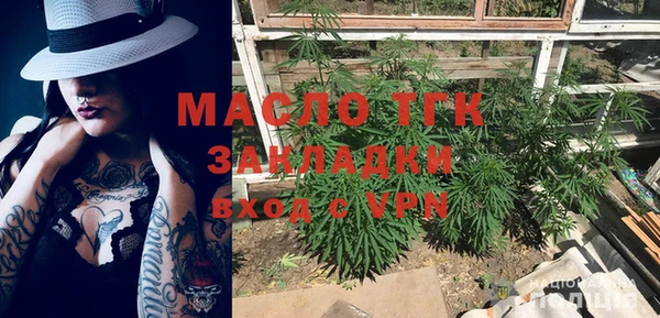 мдпв Гусь-Хрустальный