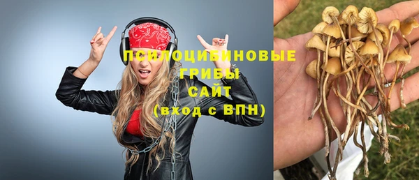 МДМА Гусиноозёрск