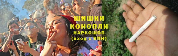 мдпв Гусь-Хрустальный